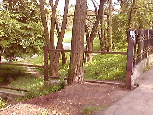 У Франківську потихеньку розбирають огорожу довкола 23 школи (ФОТО) — фото 1