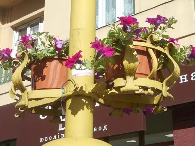 В центральній частині міста озеленили електроопори — фото 1