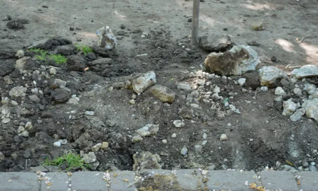 Комунальники прислухалися до побажань франківців, та облаштовують пішохідну доріжку (фото) — фото 7