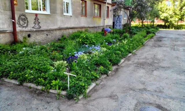У Франківську бійці АТО та громадські активісти розпочали акцію з облагородження дворів (фото) — фото 3