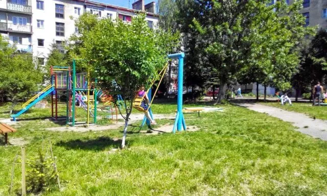 У Франківську бійці АТО та громадські активісти розпочали акцію з облагородження дворів (фото) — фото 4