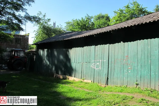Жителі міста скаржаться на нелюдські умови утримання коней та овець у міському парку (фото) — фото 7
