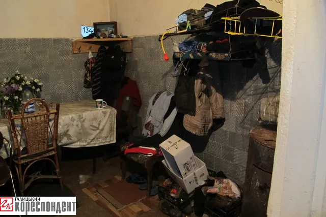 Жителі міста скаржаться на нелюдські умови утримання коней та овець у міському парку (фото) — фото 8