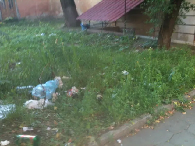 В Івано-Франківську скаржаться, що в центрі міста вулицю Гординського не прибирають місяцями (фото) — фото 1