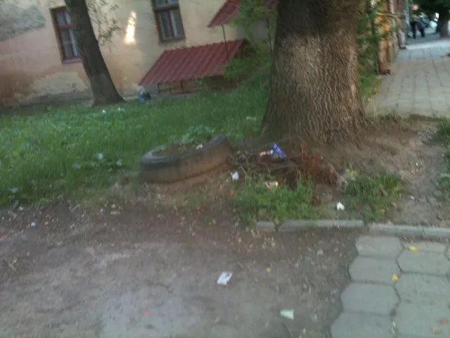 В Івано-Франківську скаржаться, що в центрі міста вулицю Гординського не прибирають місяцями (фото) — фото 2