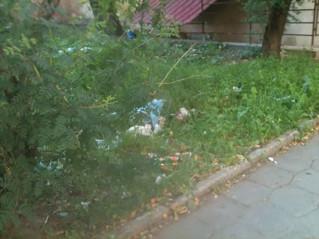 В Івано-Франківську скаржаться, що в центрі міста вулицю Гординського не прибирають місяцями (фото) — фото 4