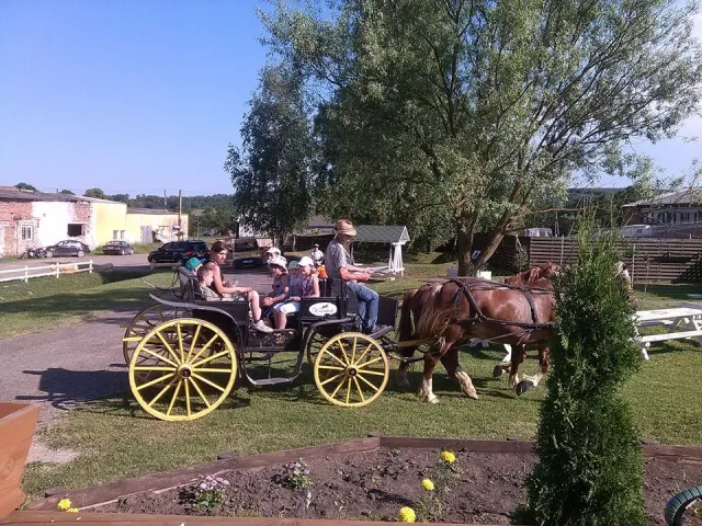 Діти учасників АТО отримали можливість покататись верхи (фото) — фото 2