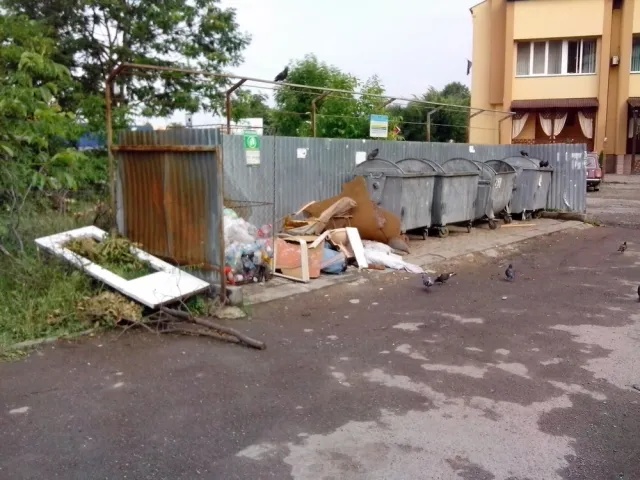 Не зважаючи на підняття тарифів на вивіз сміття, контейнерні майданчики завалені непотребом (фото) — фото 1