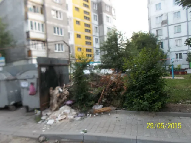 Не зважаючи на підняття тарифів на вивіз сміття, контейнерні майданчики завалені непотребом (фото) — фото 2