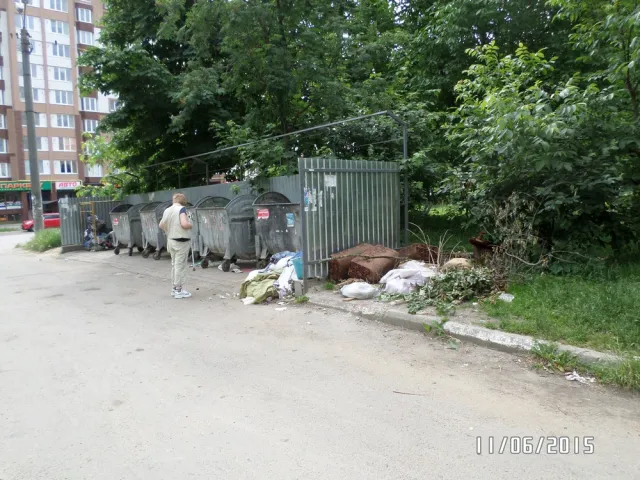 Не зважаючи на підняття тарифів на вивіз сміття, контейнерні майданчики завалені непотребом (фото) — фото 6