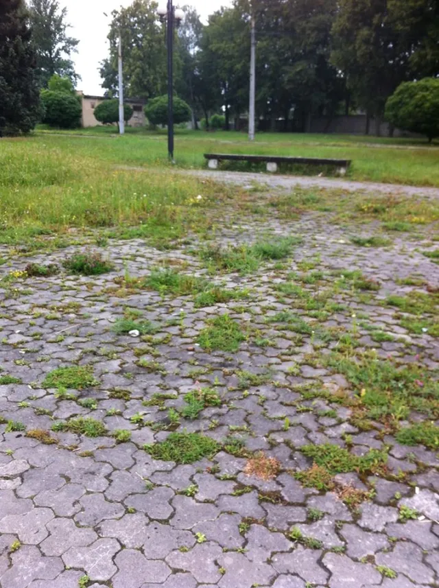 Жителів міста обурила закинута та засмічена територія біля аеропорту (фото) — фото 1