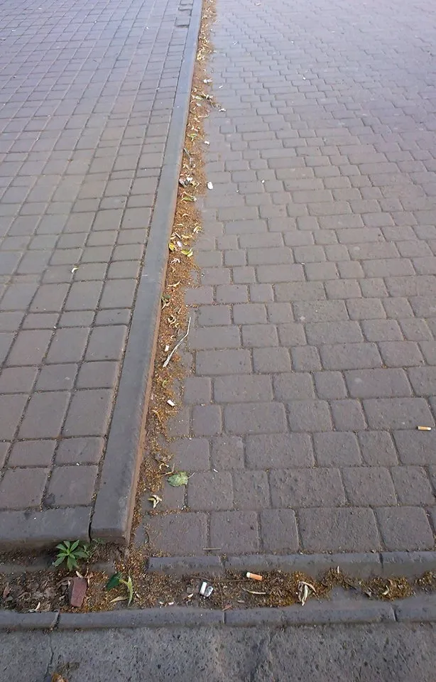 Мешканці Івано-Франківська скаржаться на погано прибрані вулиці (фото) — фото 6