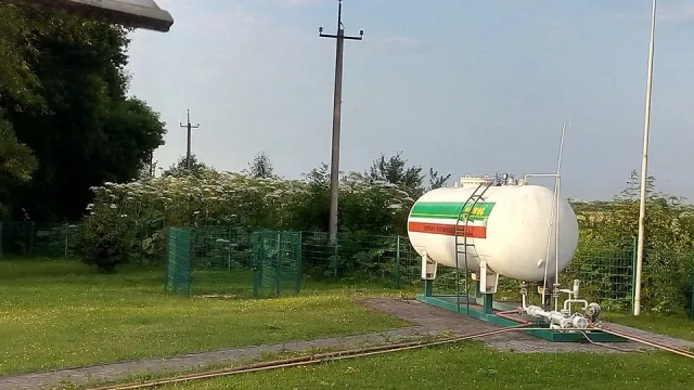 Франківець закликає гнати чиновників в шию за розведені "джунглі" борщівника (фото) — фото 10