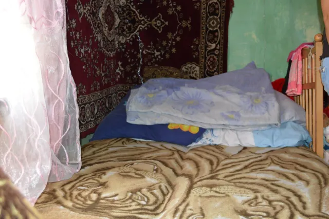 Журналісти дослідили умови проживання сім'ї бійця АТО з Угринова (фото) — фото 6