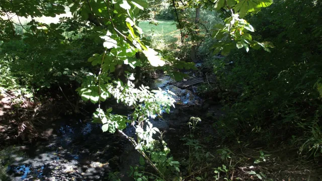 В Бистрицю зливають фекалії з мікрорайону «БАМ» (фото+відео) — фото 1