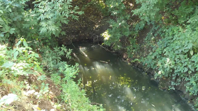 В Бистрицю зливають фекалії з мікрорайону «БАМ» (фото+відео) — фото 4