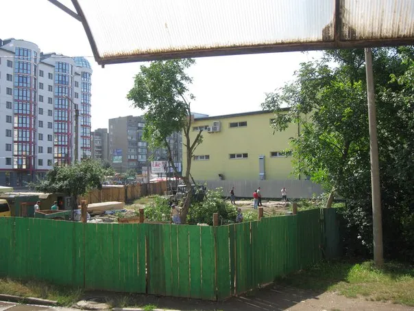 В місті забудівники зрізають дерева (фото) — фото 1