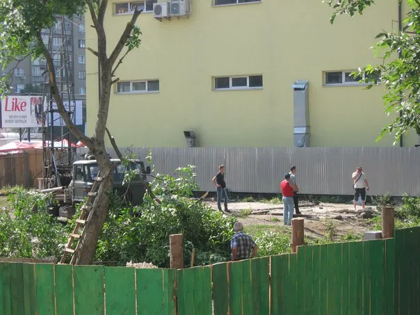 В місті забудівники зрізають дерева (фото) — фото 2