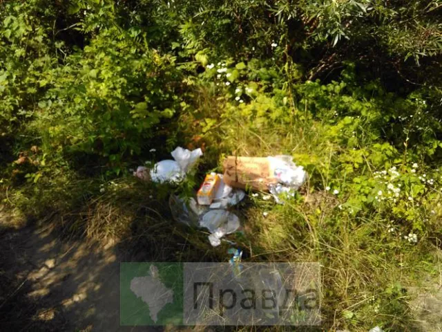 Деякі іванофранківці так і не навчилися культурно відпочивати (фото) — фото 3