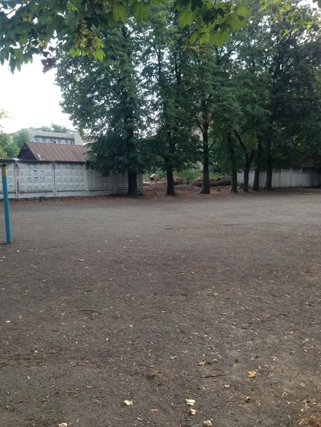 Біля однієї із шкіл Франківська оперативно розбирають спортзал (фото) — фото 1