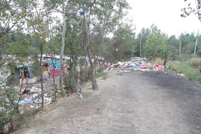 На сміттєзвалищі біля Івано-Франківська оселився ромський табір із дітьми (фото) — фото 5