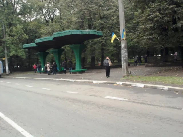 Жителі міста нарікають на стан зупинки в парку Воїнів-інтернаціоналістів (фото) — фото 7