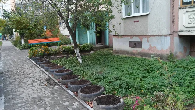 У Франківську вандали вночі знищили клумбу (фото) — фото 2