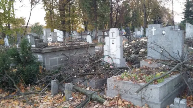 У Франківську на цвинтарі могили закидали деревами (фото) — фото 1