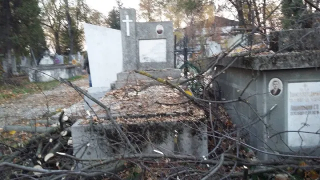 У Франківську на цвинтарі могили закидали деревами (фото) — фото 2