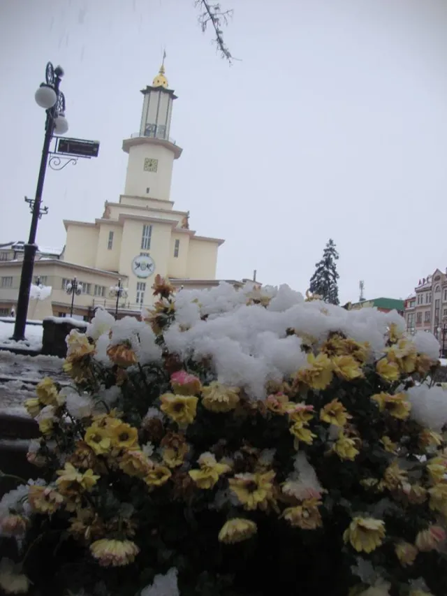 Івано-Франківськ притрусило снігом (фото) — фото 8
