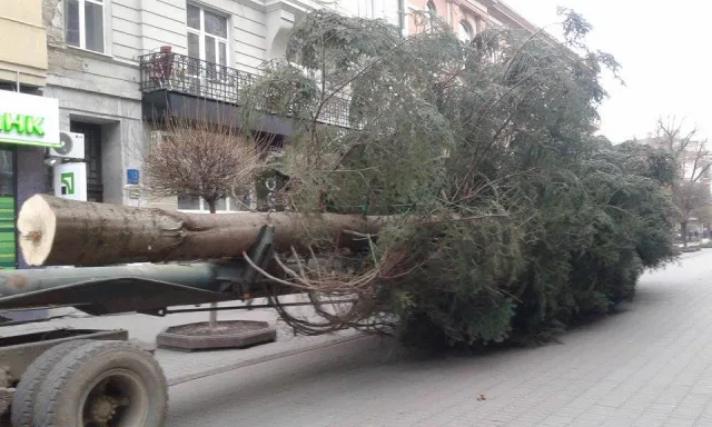 На Вічевому майдані почали встановлювати ялинку (фото) — фото 11