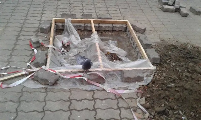 На Вічевому майдані почали встановлювати ялинку (фото) — фото 12