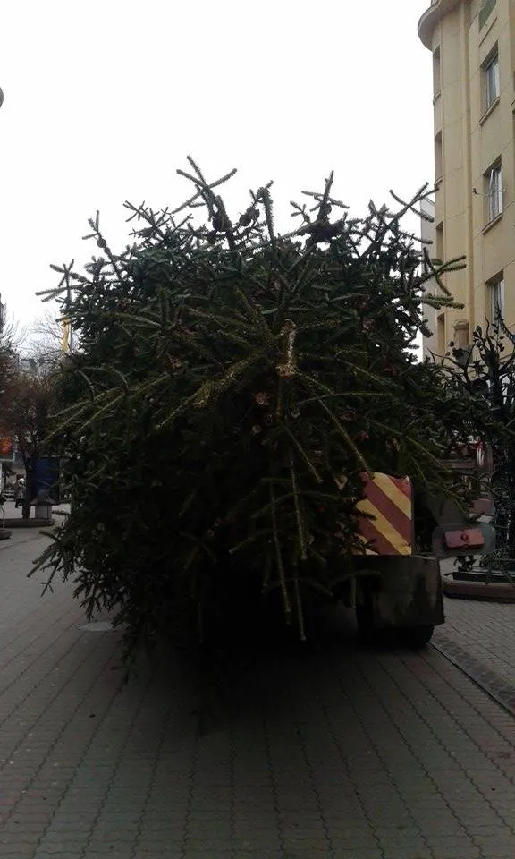 На Вічевому майдані почали встановлювати ялинку (фото) — фото 13