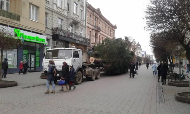 На Вічевому майдані почали встановлювати ялинку (фото) — фото 15