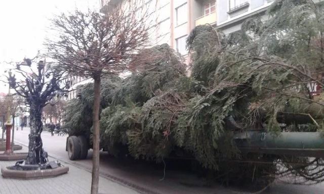 На Вічевому майдані почали встановлювати ялинку (фото) — фото 3