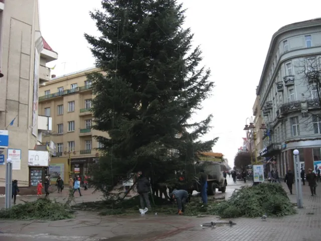 В Франковске коммунальщики демонтировали новогоднюю елку (фото) — фото 1