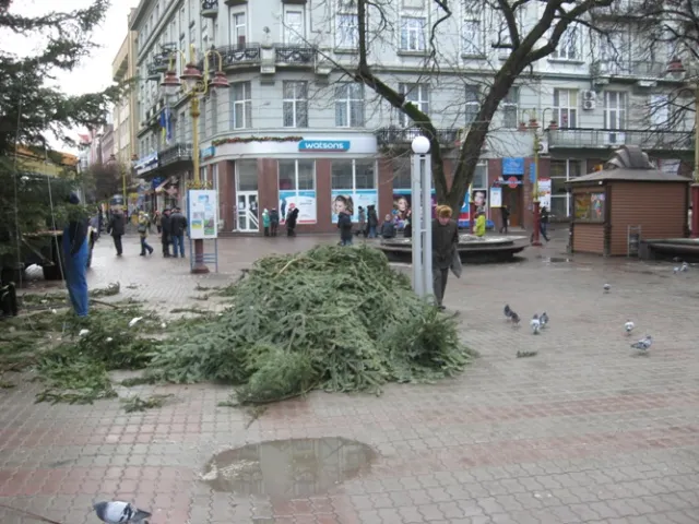 В Франковске коммунальщики демонтировали новогоднюю елку (фото) — фото 2