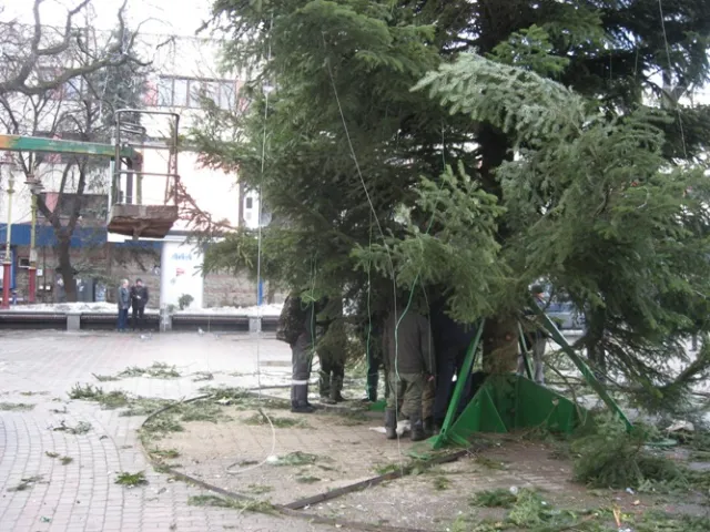 В Франковске коммунальщики демонтировали новогоднюю елку (фото) — фото 3