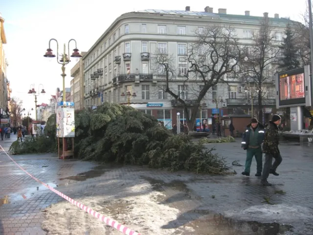 В Франковске коммунальщики демонтировали новогоднюю елку (фото) — фото 4