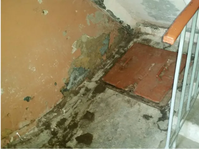 Мешканці Івано-Франківська поскаржилась на жахливий стан під'їзду і бездіяльність ЄРЦ (фото) — фото 3
