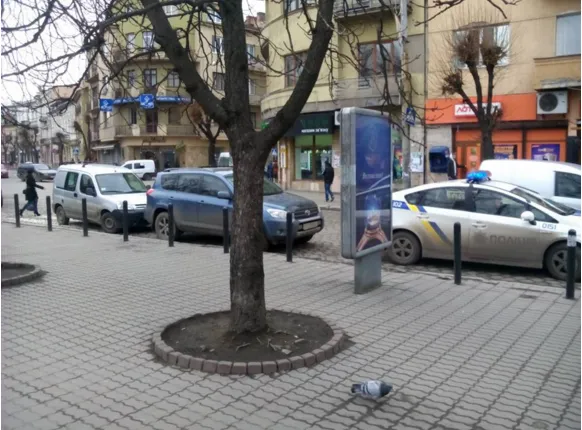 Как франковские полицейские наводили порядок на улицах города (фото) — фото 2