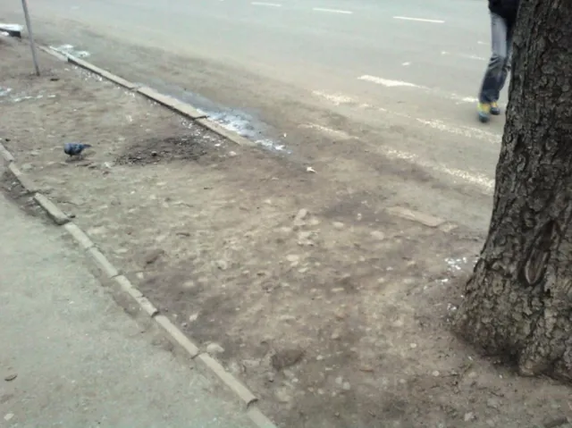 Горожане жалуются на стертую "зебру" на Северном бульваре, мол такая ситуация подвергает опасности пешеходов — фото 2