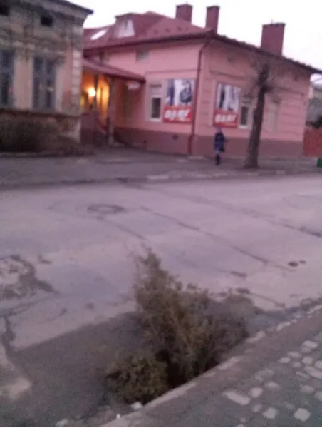 На дорогах Ивано-Франковска образовались "дыры-ловушки", которые представляют опасность как для водителей, так и для пешеходов — фото 5