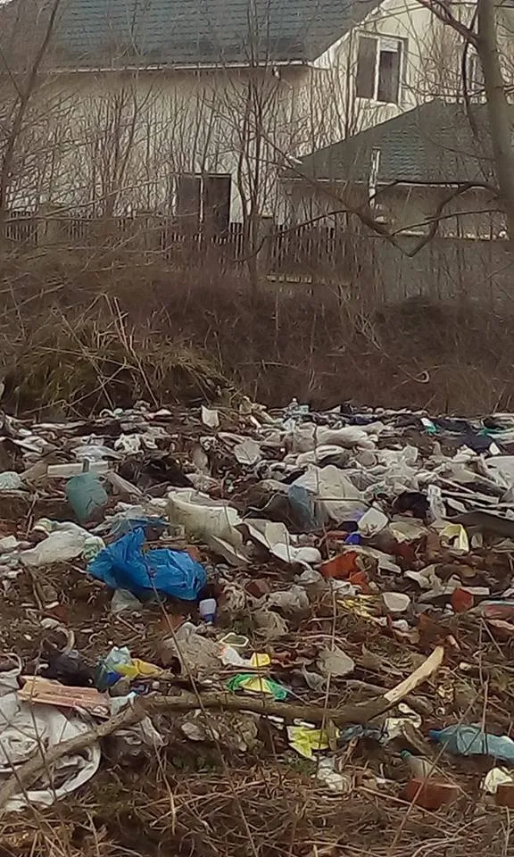 В одном из микрорайонов Франковска, женщина жалуется на стихийная свалка возле ее дома — фото 4