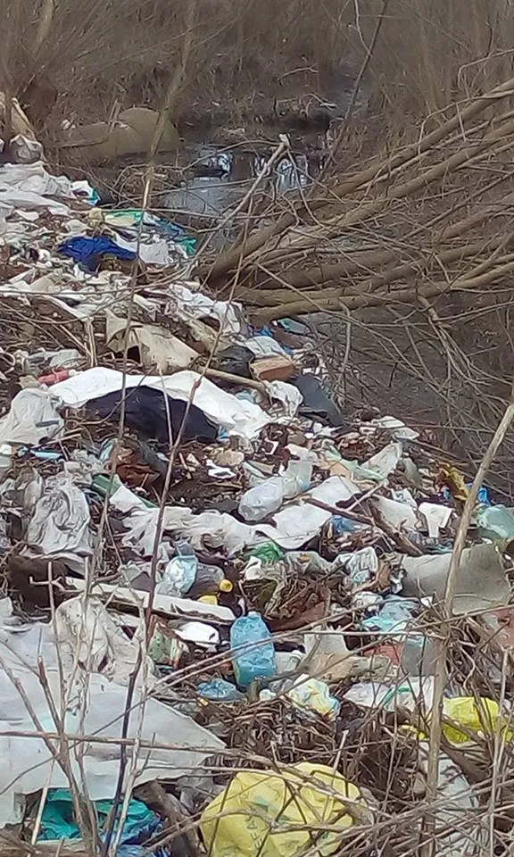 В одном из микрорайонов Франковска, женщина жалуется на стихийная свалка возле ее дома — фото 5
