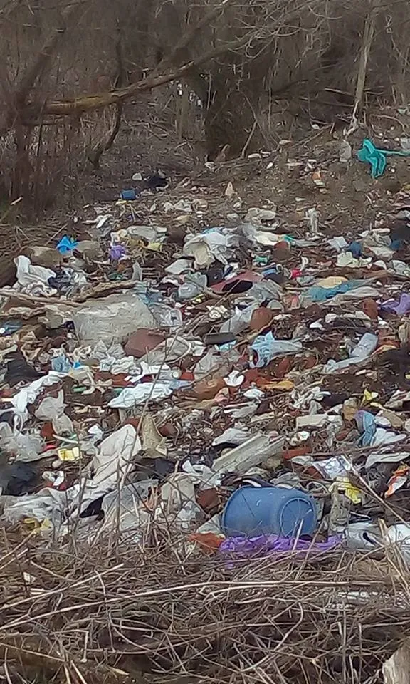 В одном из микрорайонов Франковска, женщина жалуется на стихийная свалка возле ее дома — фото 6
