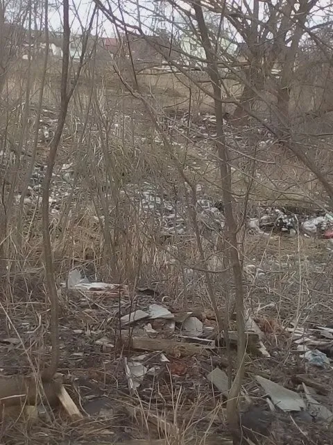 В одном из микрорайонов Франковска, женщина жалуется на стихийная свалка возле ее дома — фото 7
