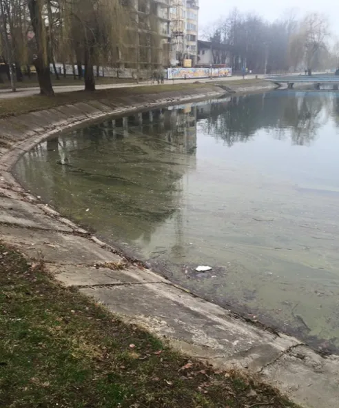 «Поки чиновники з'ясовують, хто є керівником центрального парку, міське озеро нема кому почистити», - активістка Світлана Оришко — фото 2