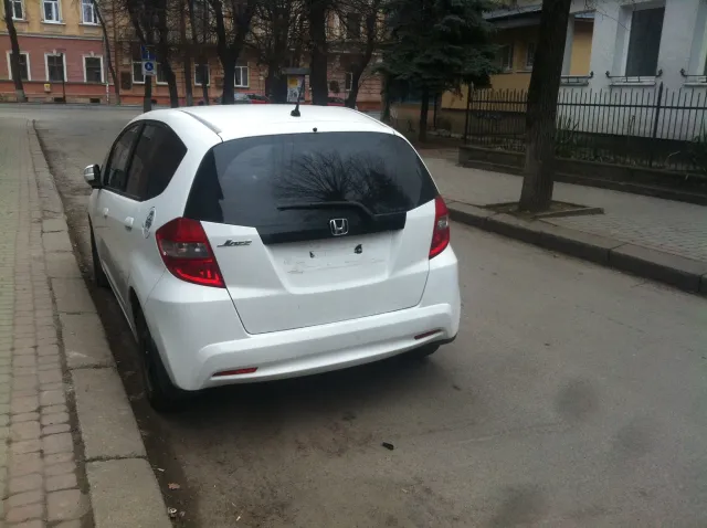 В Івано-Франківську почали радикальну боротьбу із авторагулями? — фото 1