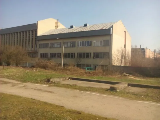 В Франковске неизвестные варварски срезали голубые елки — фото 8